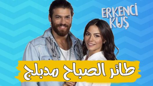 مسلسل طائر الصباح مدبلج الحلقة 105 المائة وخمسة