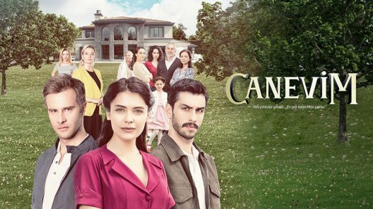 مسلسل قلبي الحلقة 17 مترجمة للعربية والاخيرة